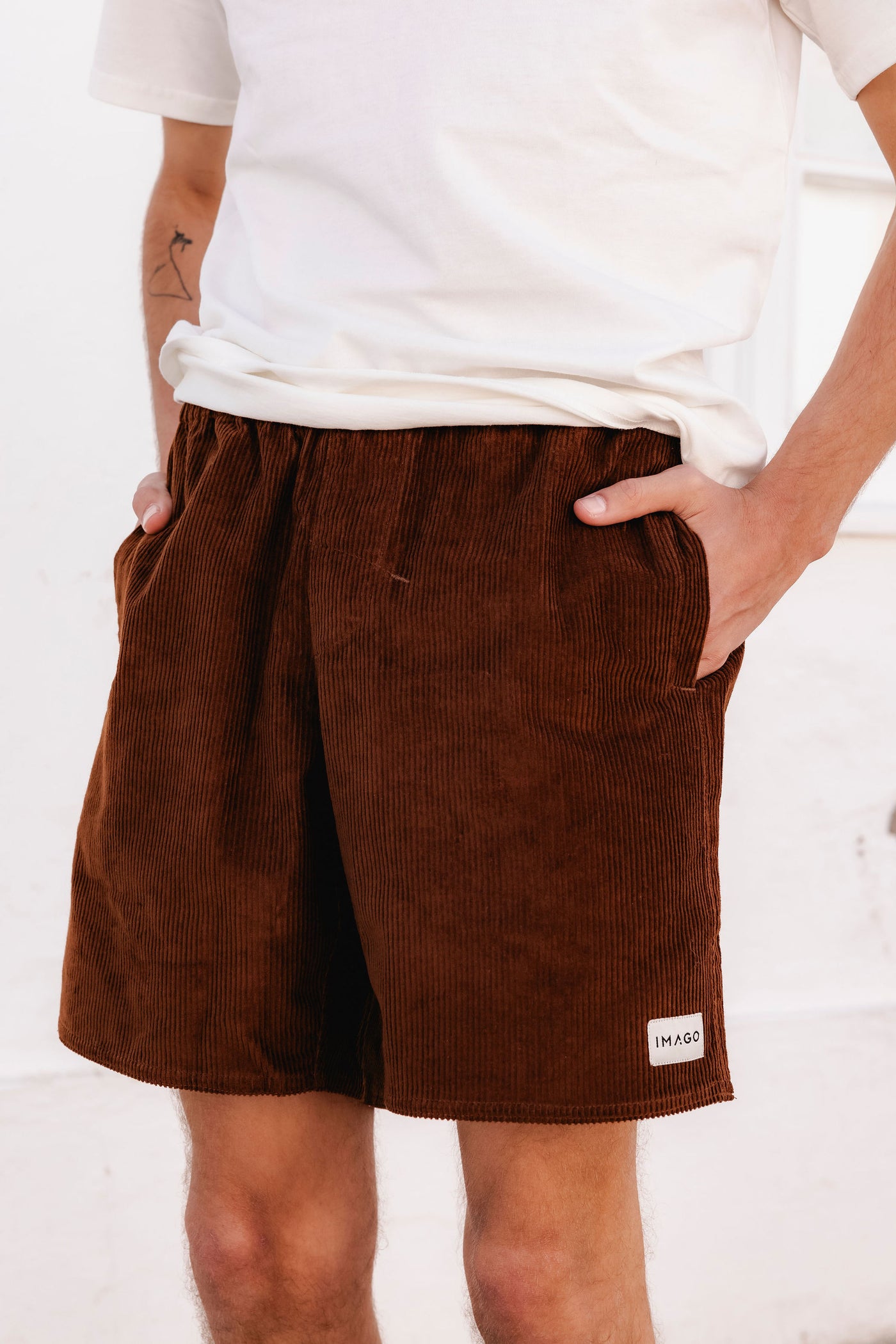 Pecan Brown Shorts