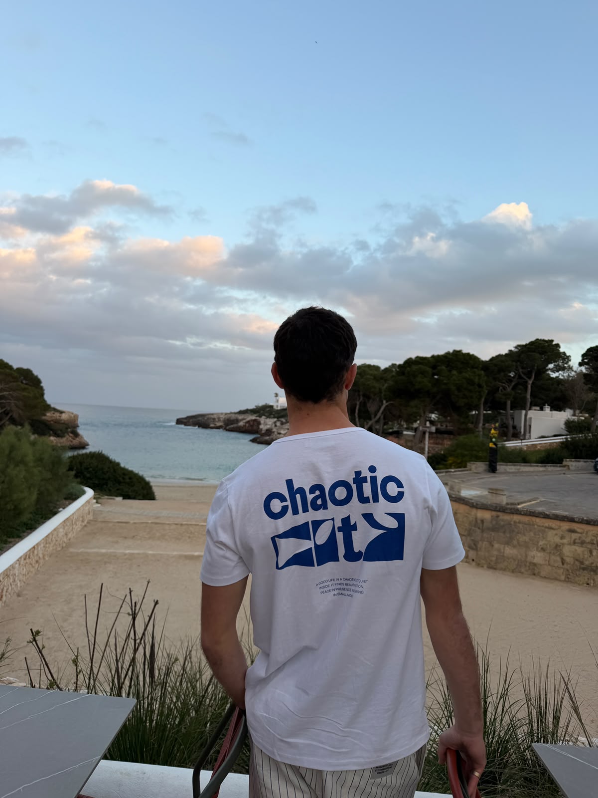 T-shirt de vinil